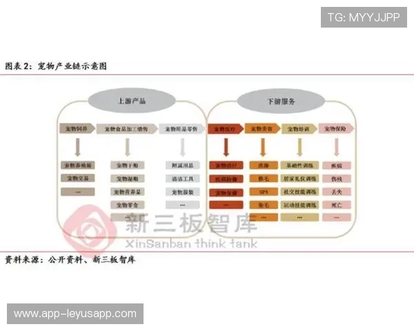 切尔西计划与国际医疗机构合作优化康复流程:打造未来康复新蓝图 切尔西计划与国际医疗机构合作优化康复流程:打造未来康复新蓝图