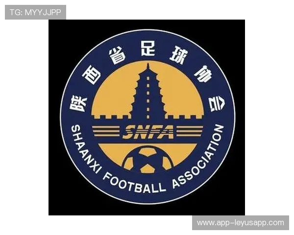 地方足球协会是否具备独立组织赛事的能力，地方足协组织架构