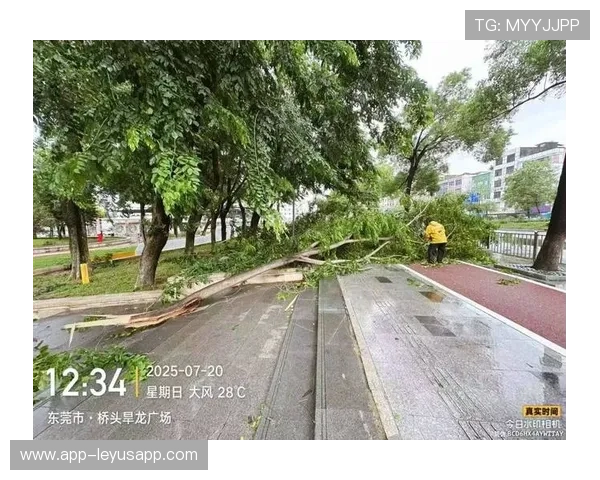 高空作业遇大风，东莞安全防护再受检验，高处作业大风