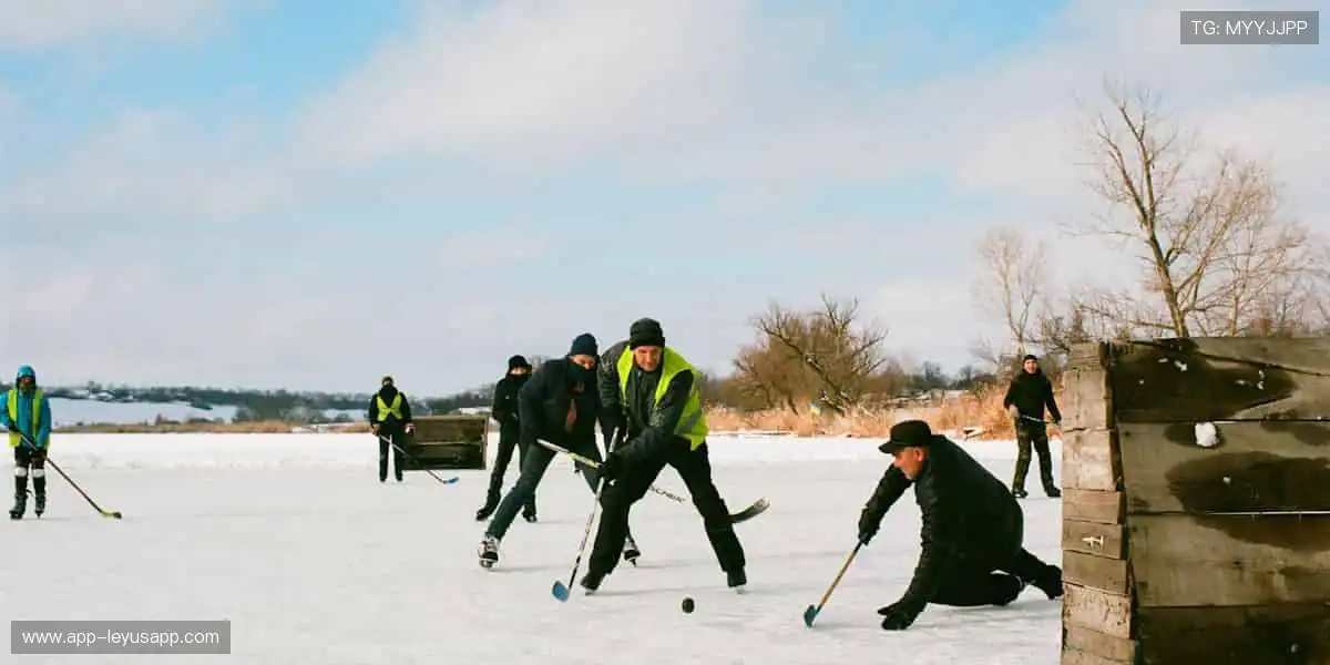 🏋️♂️专业品质,耐用舒适!从健身器材到运动服饰,你的健康首选!🎽